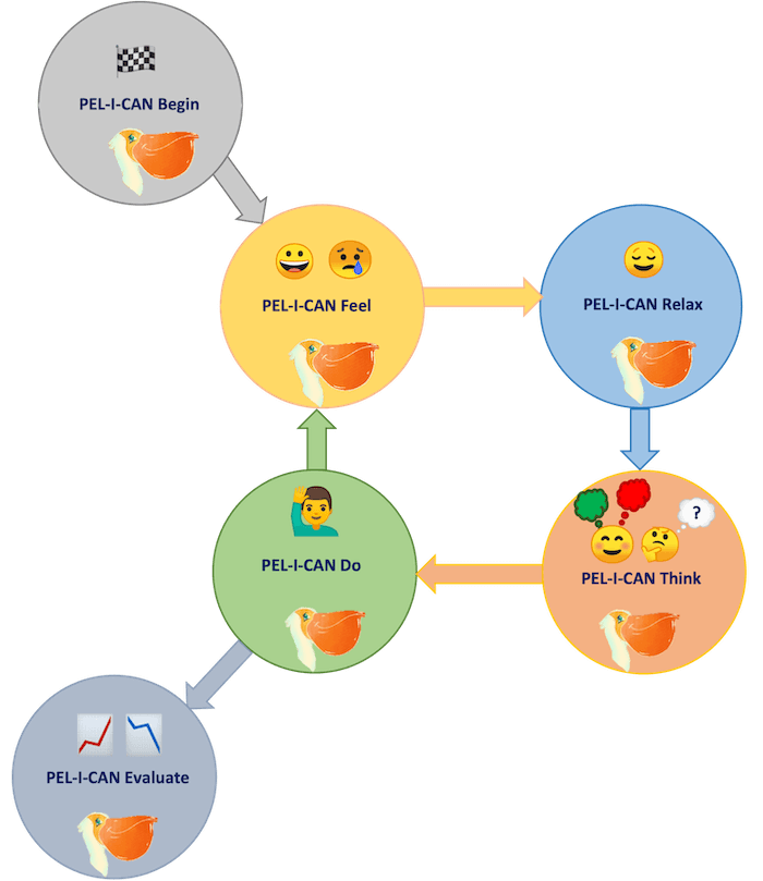 The PELICAN framework